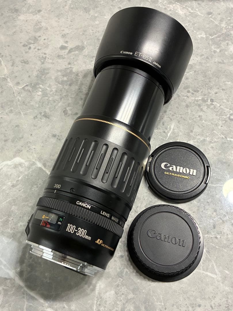 ⭐️美品⭐️キャノン Canon EF 100-300mm 4.5-5.6 USM