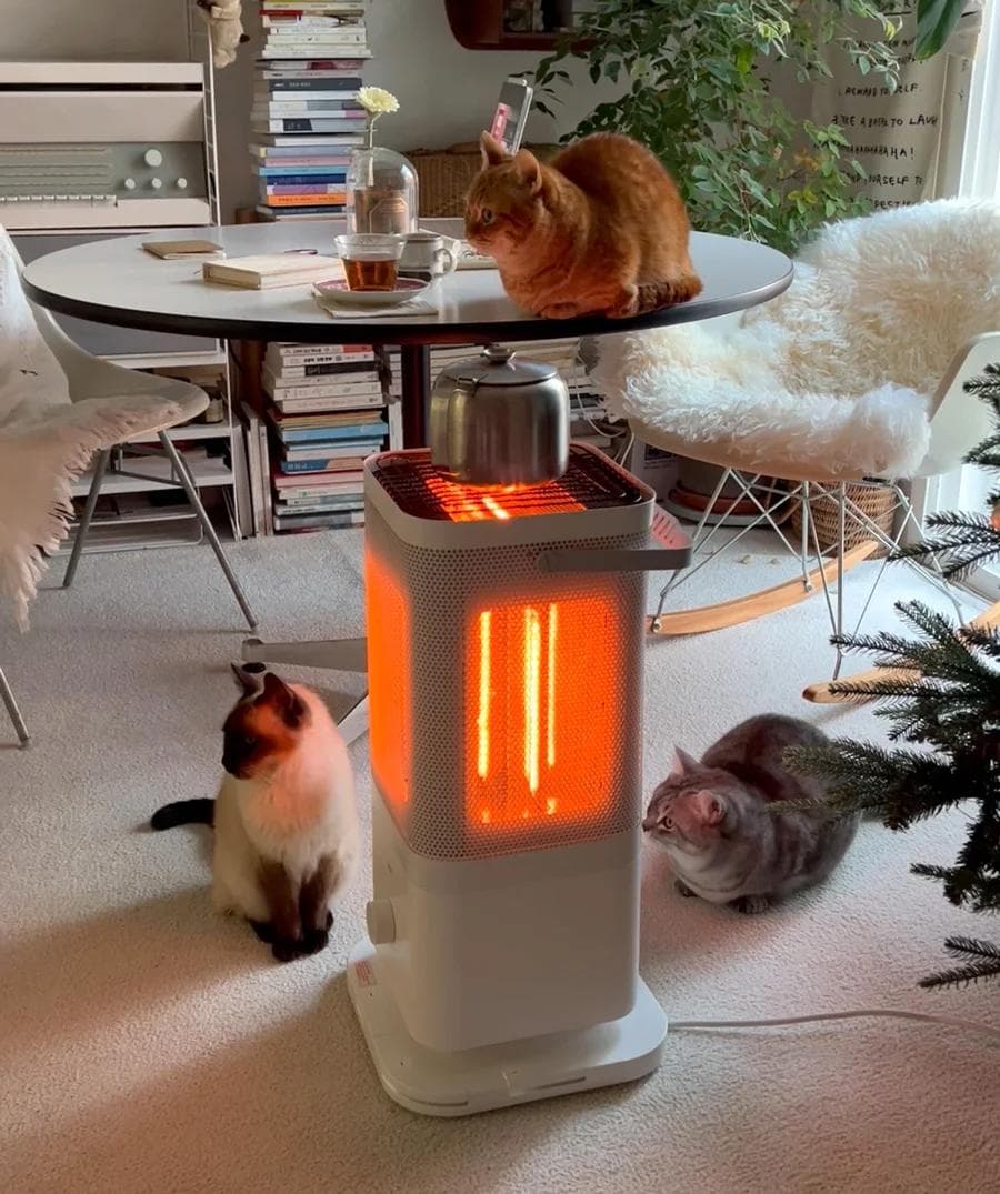 新品未開封　edir エディル 5面 カーボンヒーター