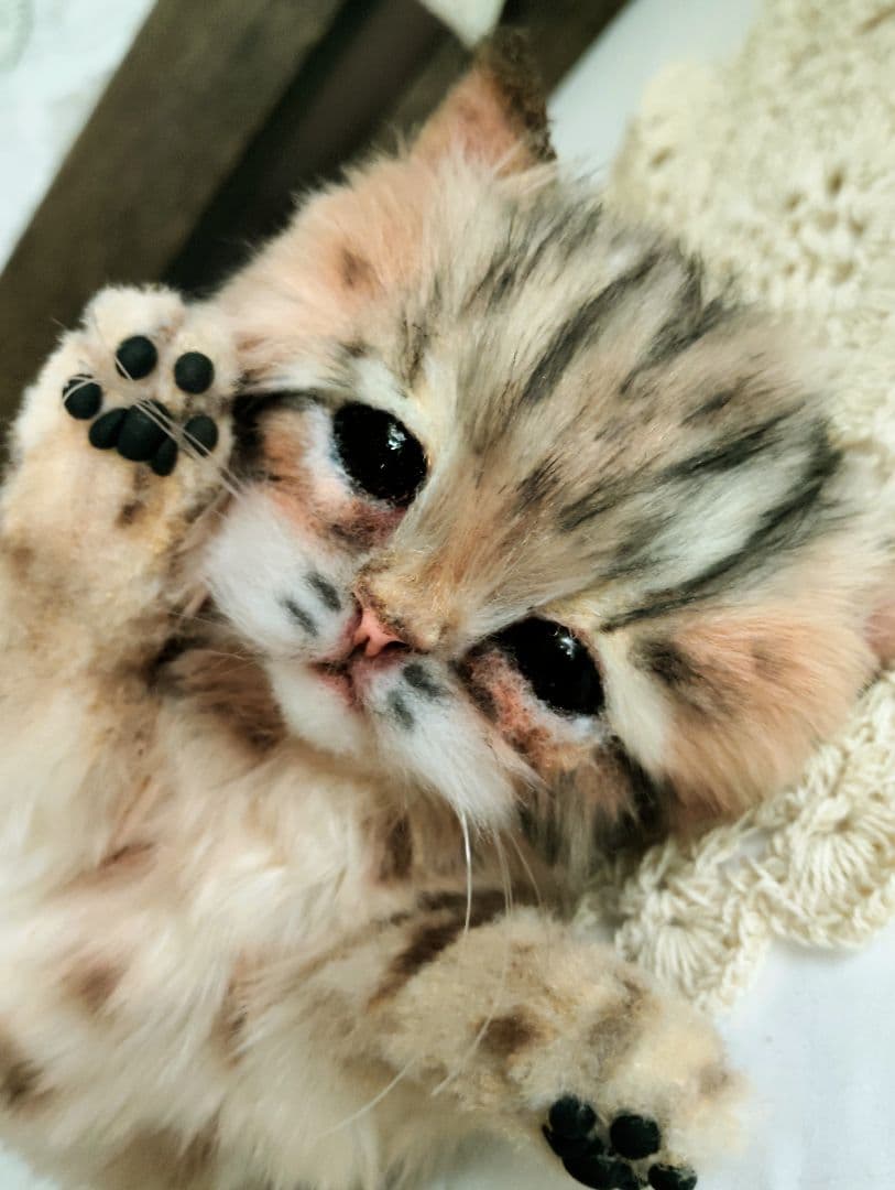 ヤマネコベビー❤子猫ちゃん♡アートドール♡ぬいぐるみ♡