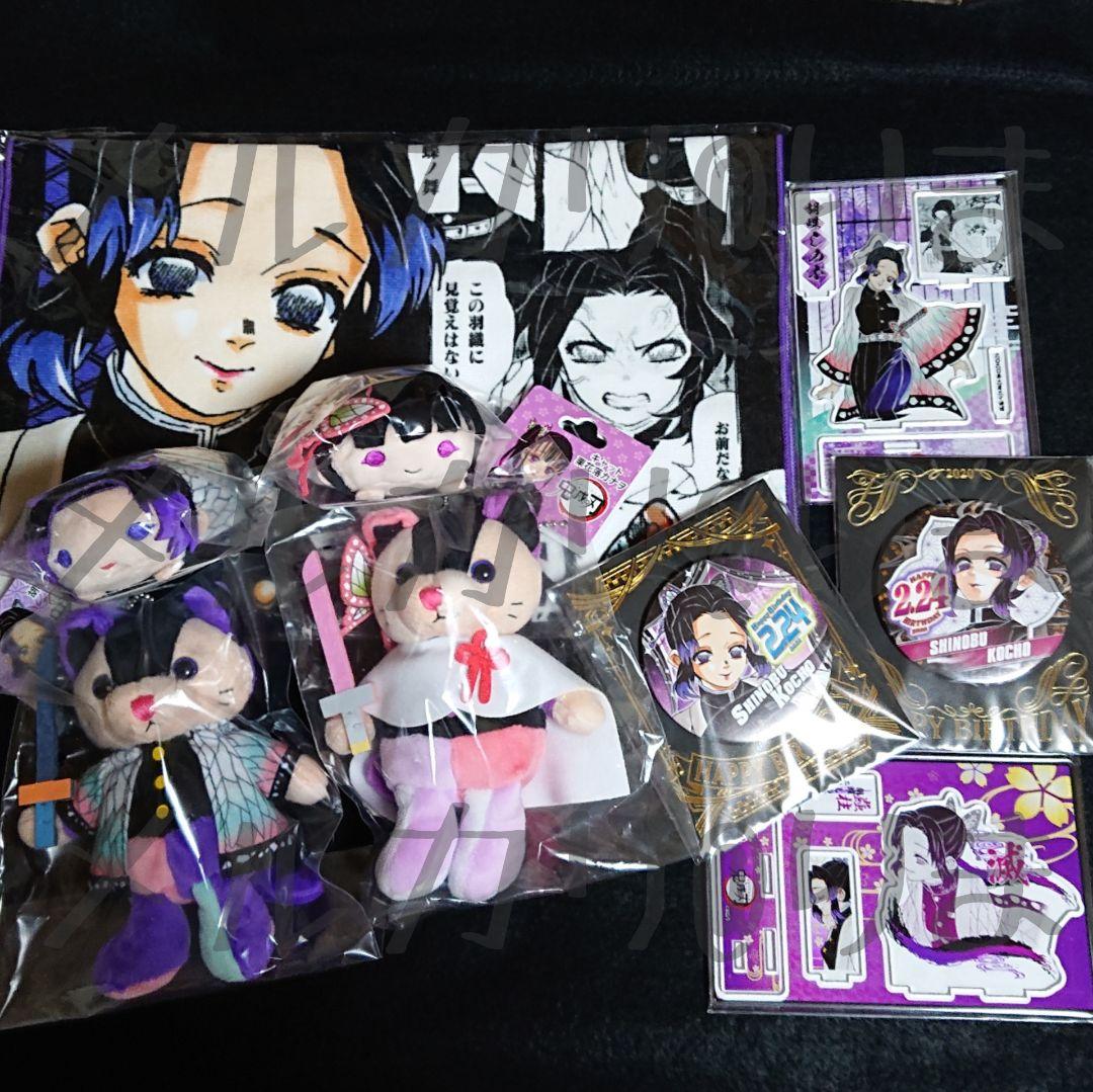 胡蝶しのぶ+栗花落カナヲ ９点セット