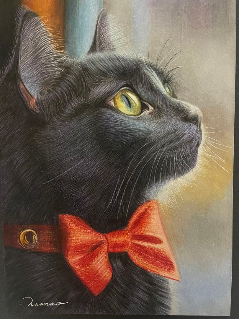色鉛筆画.A4.黒猫.51