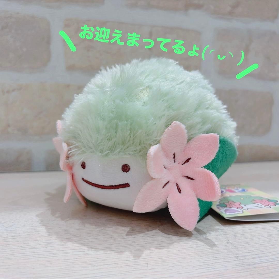 【超希少】【入手困難】へんしん！メタモン　シェイミ　ポケモンセンター限定