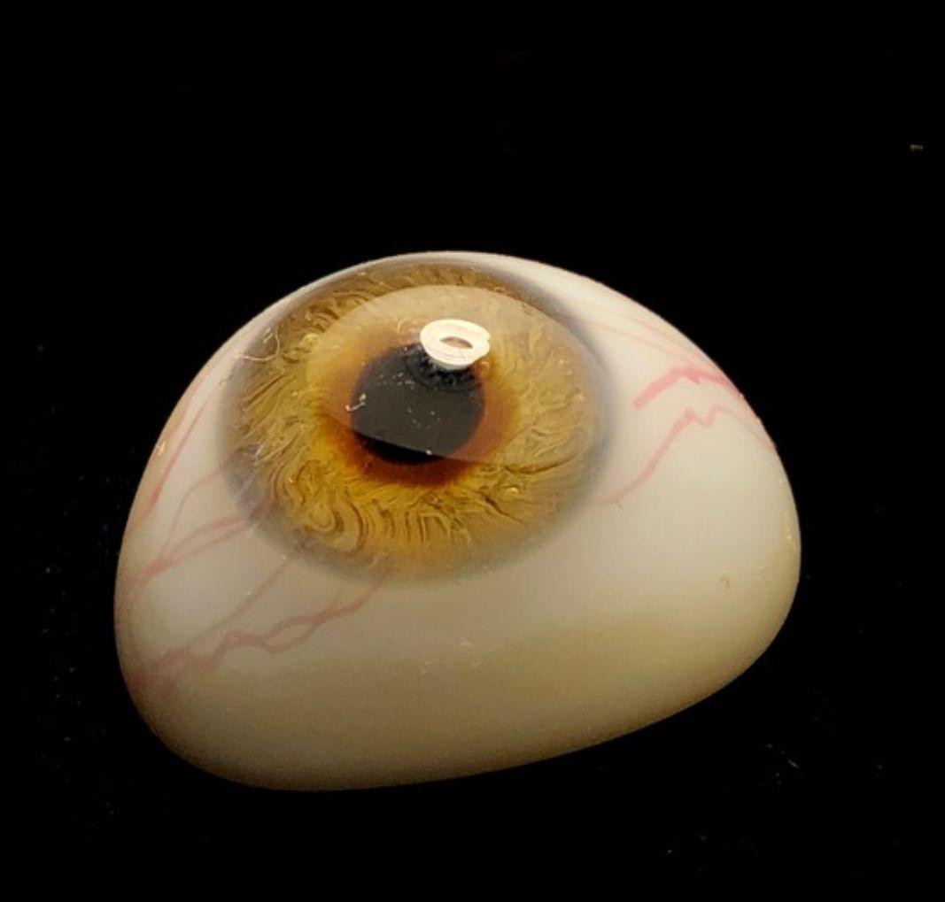 義眼　ドイツ　ラウシャ