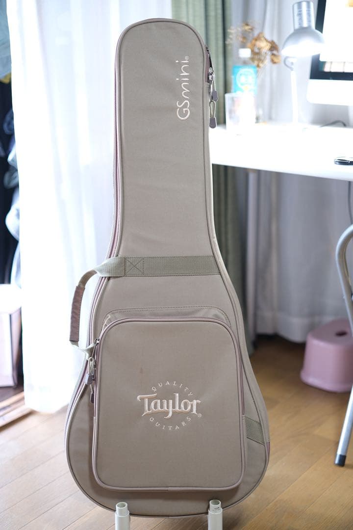 Taylor LTD GS Mini 限定モデル
