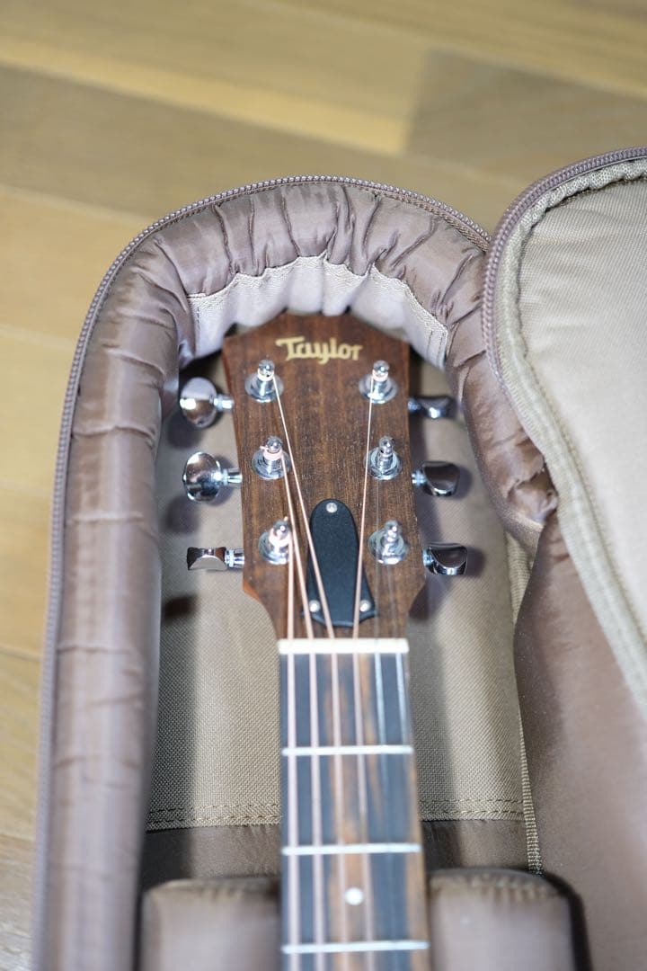 Taylor LTD GS Mini 限定モデル