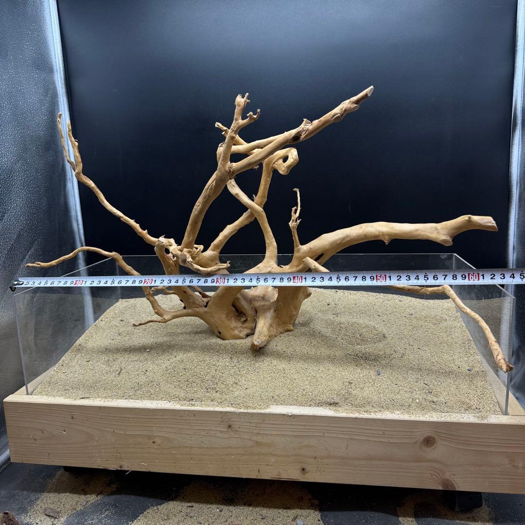 MDW-6991 特大ブランチウッド　流木　枝流木　アクアリウム