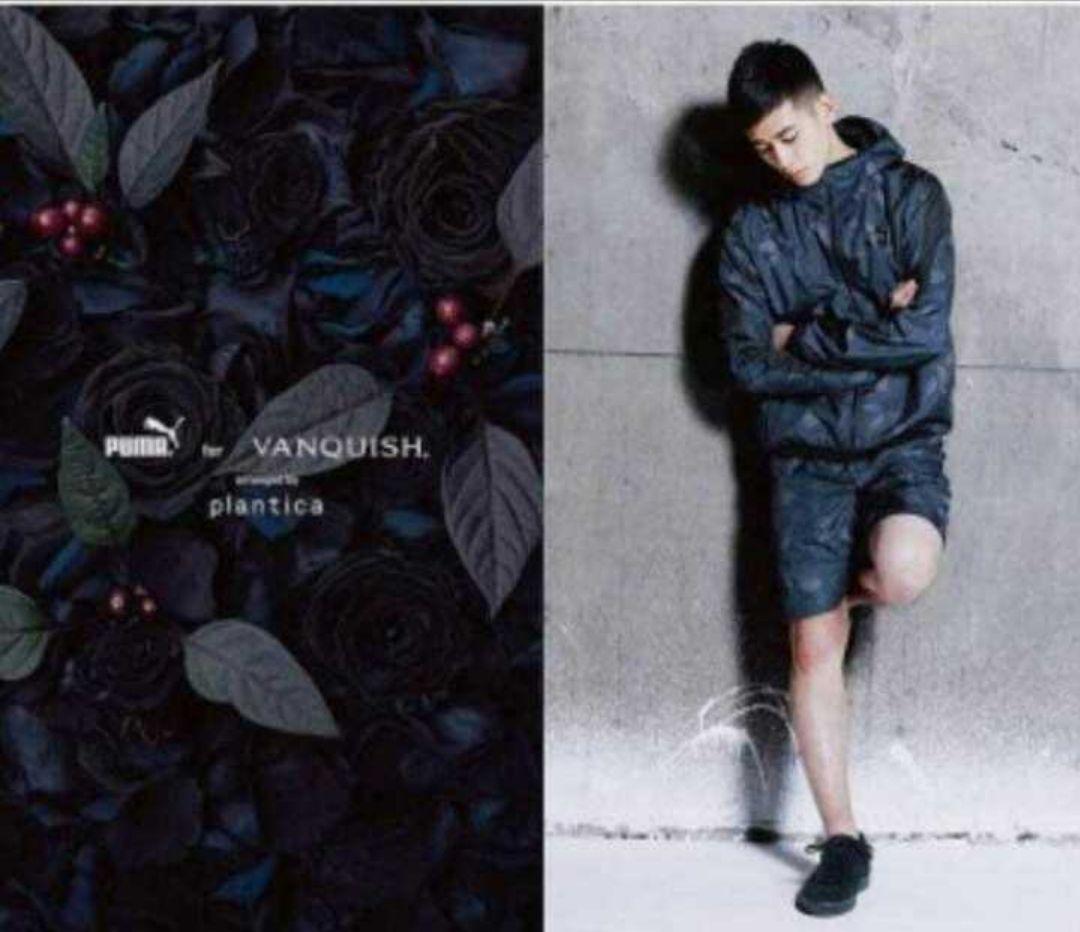 激レア 完売品 PUMA vanップ プーマ ヴァンキッシュ 上下 ジャージ