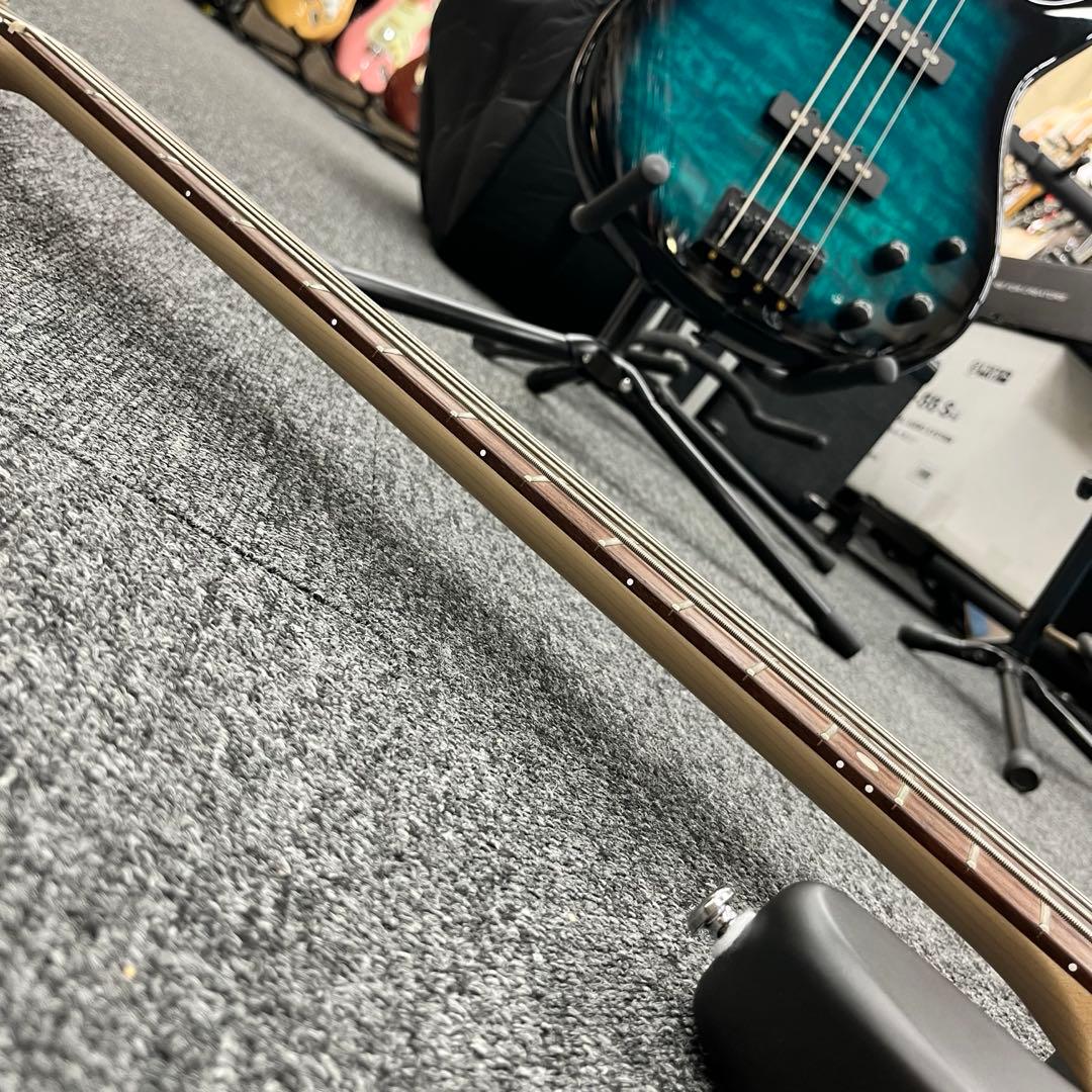 【11339】STERLING by MUSICMAN StingRay