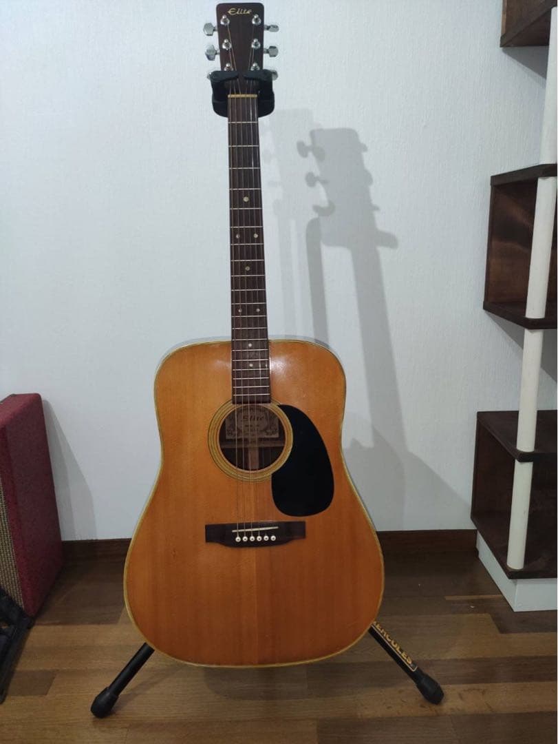 ギター Takamine Elite TW-40