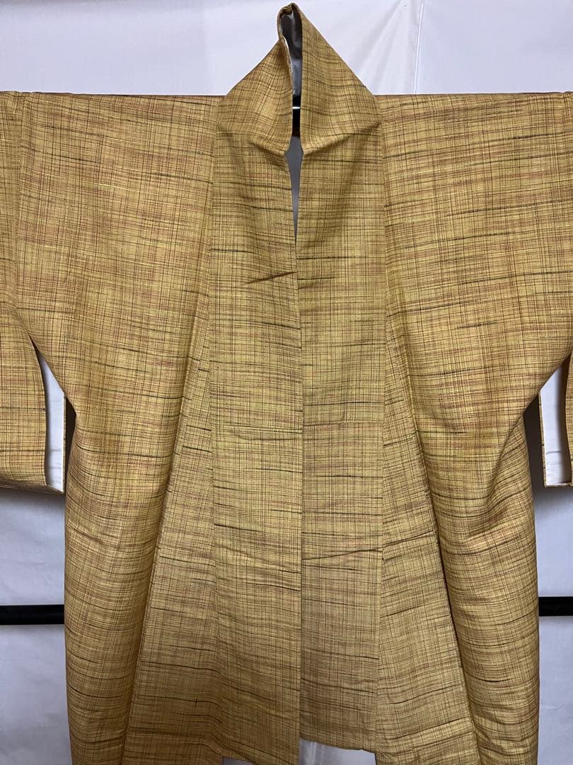 ☘️早い者勝ち☘️【国宝品】●岐阜県無形文化財【郡上紬】●幻の紬●草木染●紬●着物