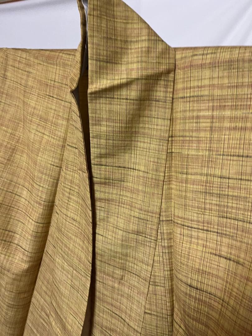 ☘️早い者勝ち☘️【国宝品】●岐阜県無形文化財【郡上紬】●幻の紬●草木染●紬●着物