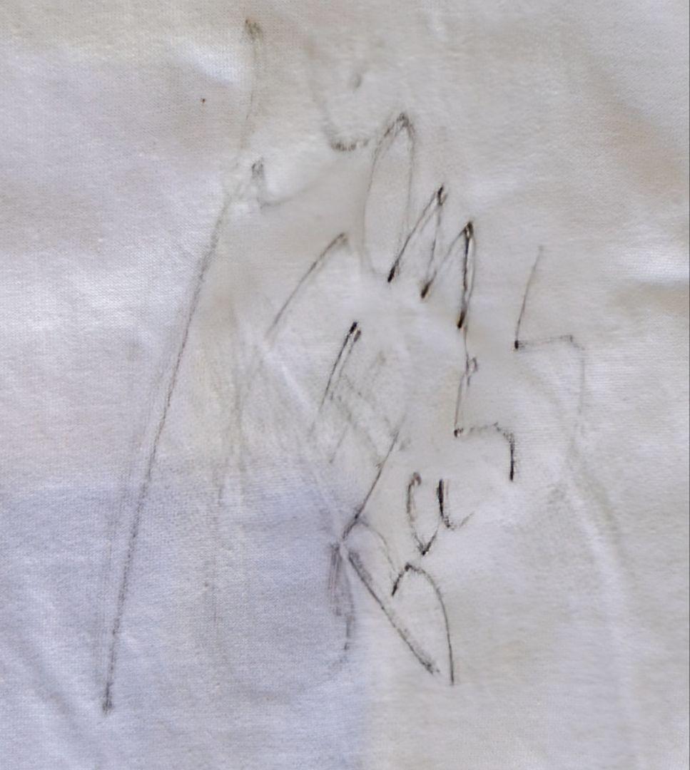 [一点物] Duck Tails 直筆サインTシャツ 横山剣さん在籍期の物