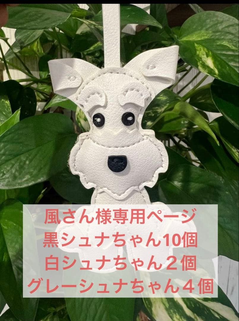 在庫処分　グレー　黒　ミニチュアシュナウザー2個セット　肉球2個付き