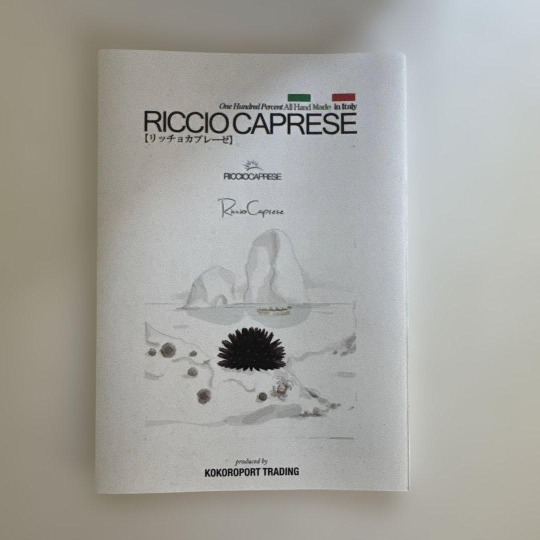 RICCIO CAPRESE 緑色ガラス　小物入れ