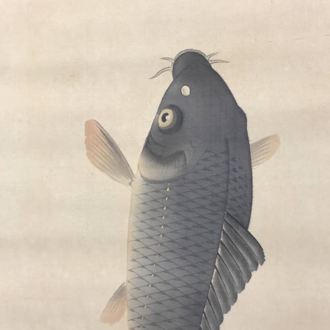 【真作】福井江亭/鯉滝昇り図/鯉滝登り図/鯉図/掛軸/名家伝来/AC-514