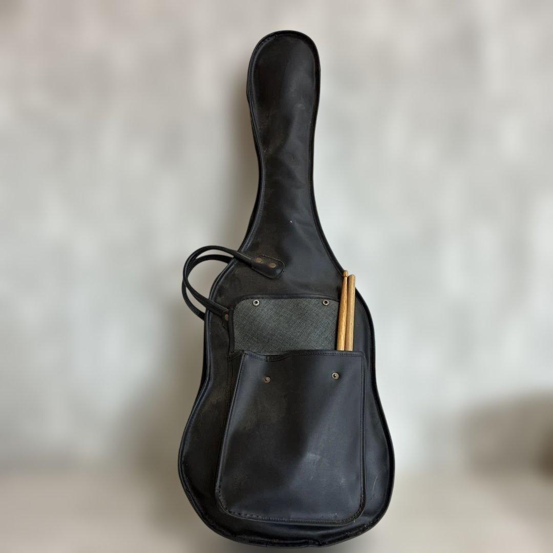 samick エレキギター