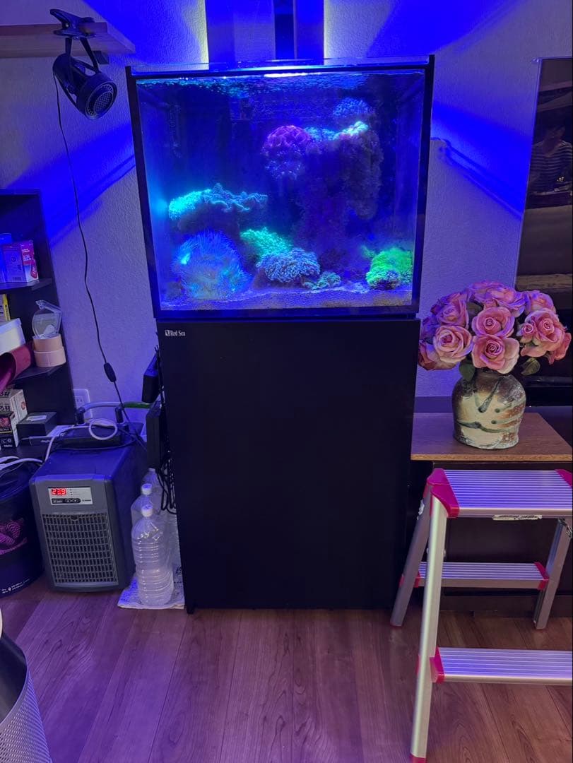 RedSea REEFER170オーバーフロー水槽フルセット 海水水槽