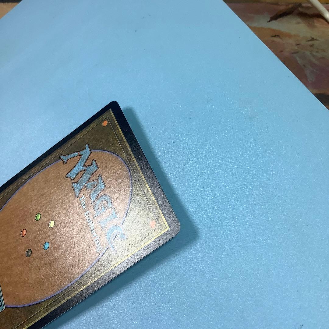 低木林地/Brushland  7ED英語foil