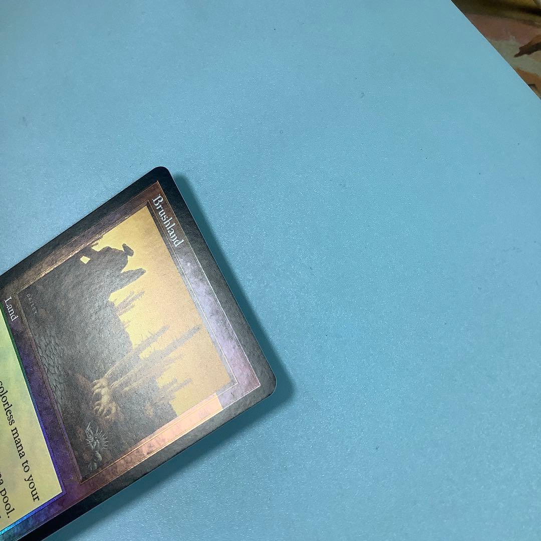 低木林地/Brushland  7ED英語foil