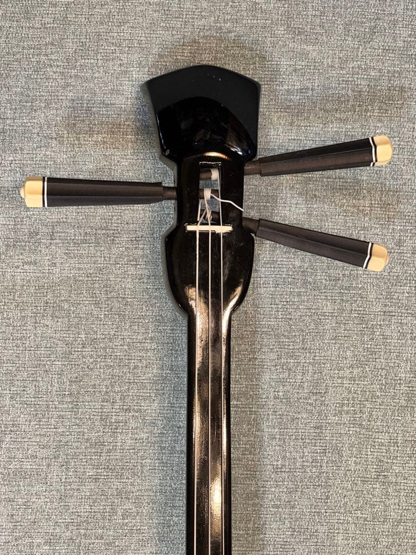 495＊三線　練習用　和楽器　沖縄三線　蛇柄　ケース付き　蛇皮ではありません