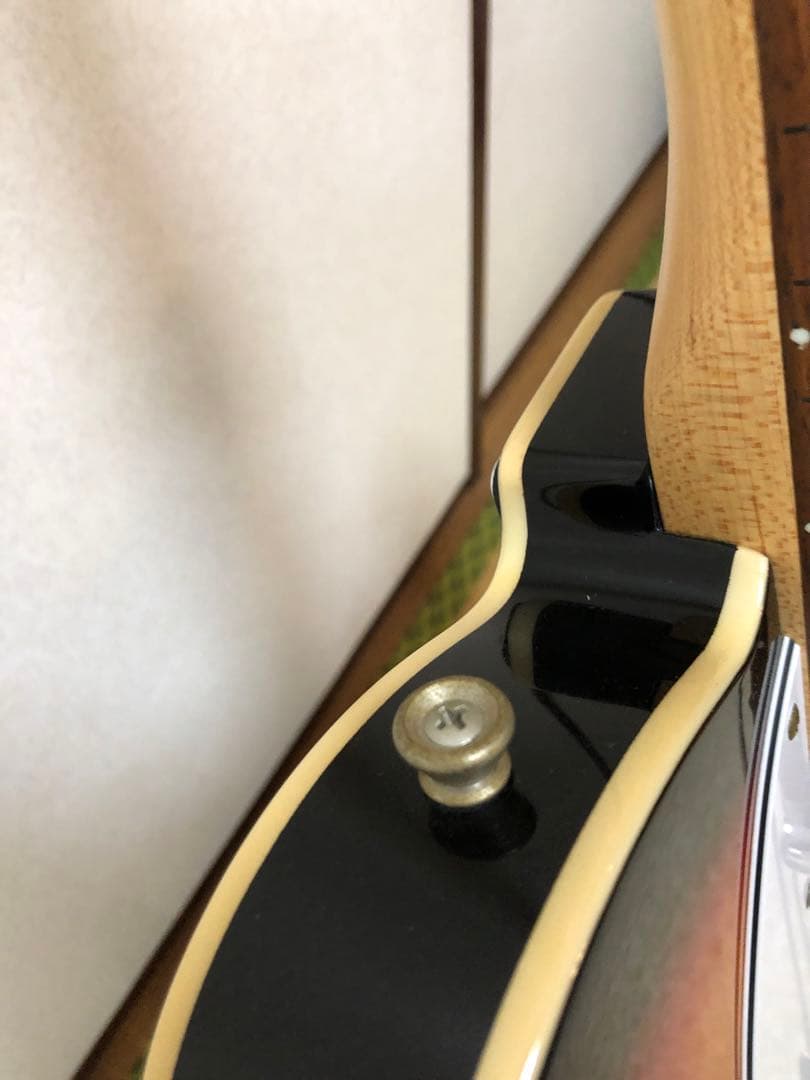 Bacchus バッカス　テレキャスタータイプ　BTC-1R 3TS