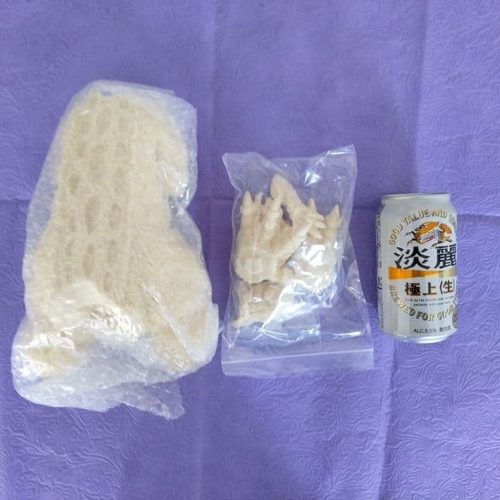 ゴジラ 1954 初代 ゴジラ Large SHINZEN 造形研究所