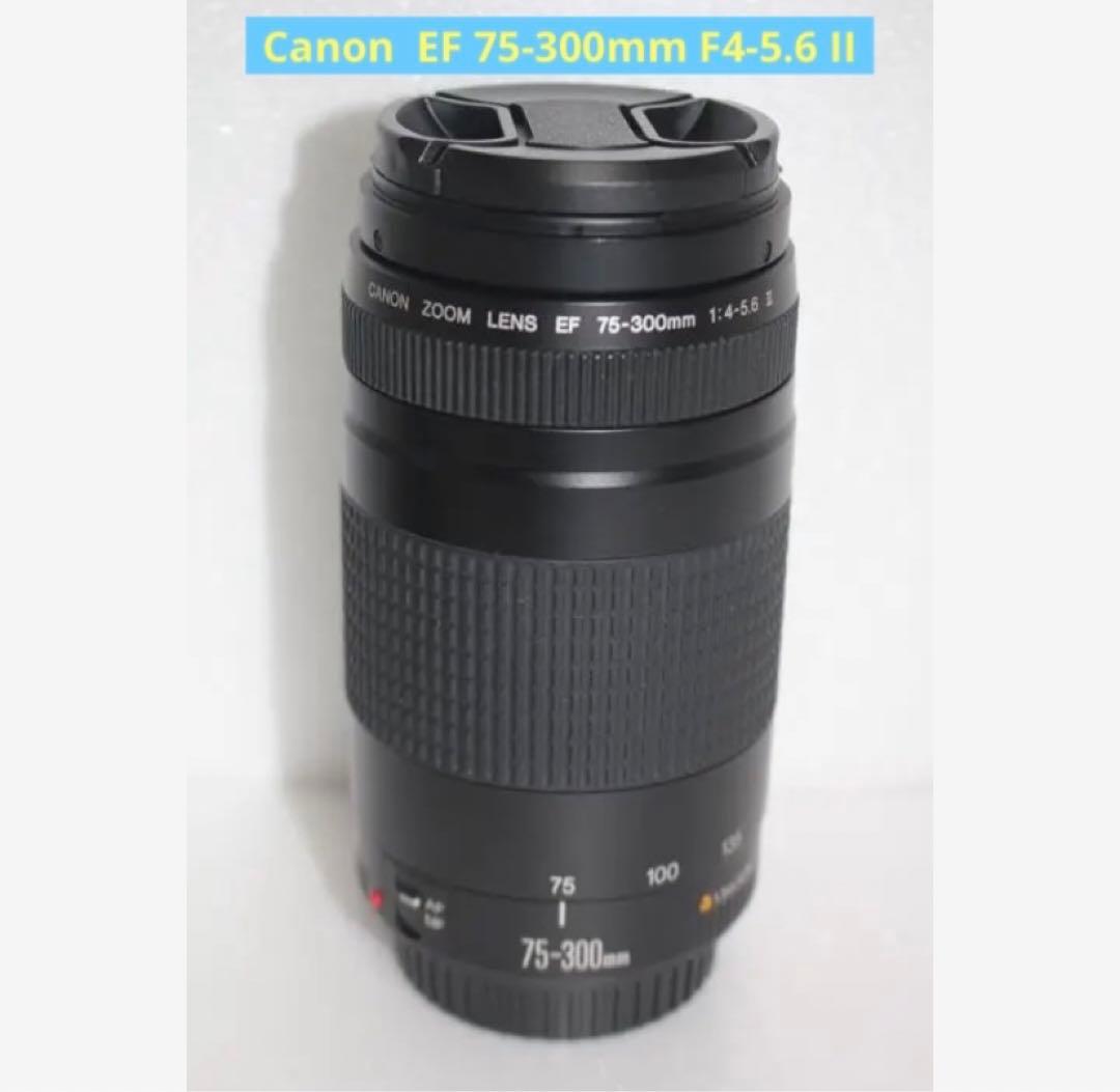 極上品☆フード付☆迫力の300㎜☆キャノン Canon EF75-300㎜ ☆