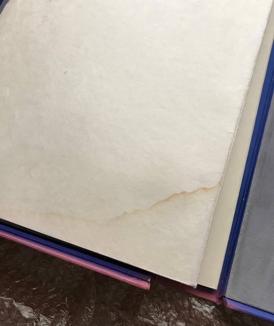 テレスコビッチの肉筆画＋リト14点＋他挿画本La Treille Muscate