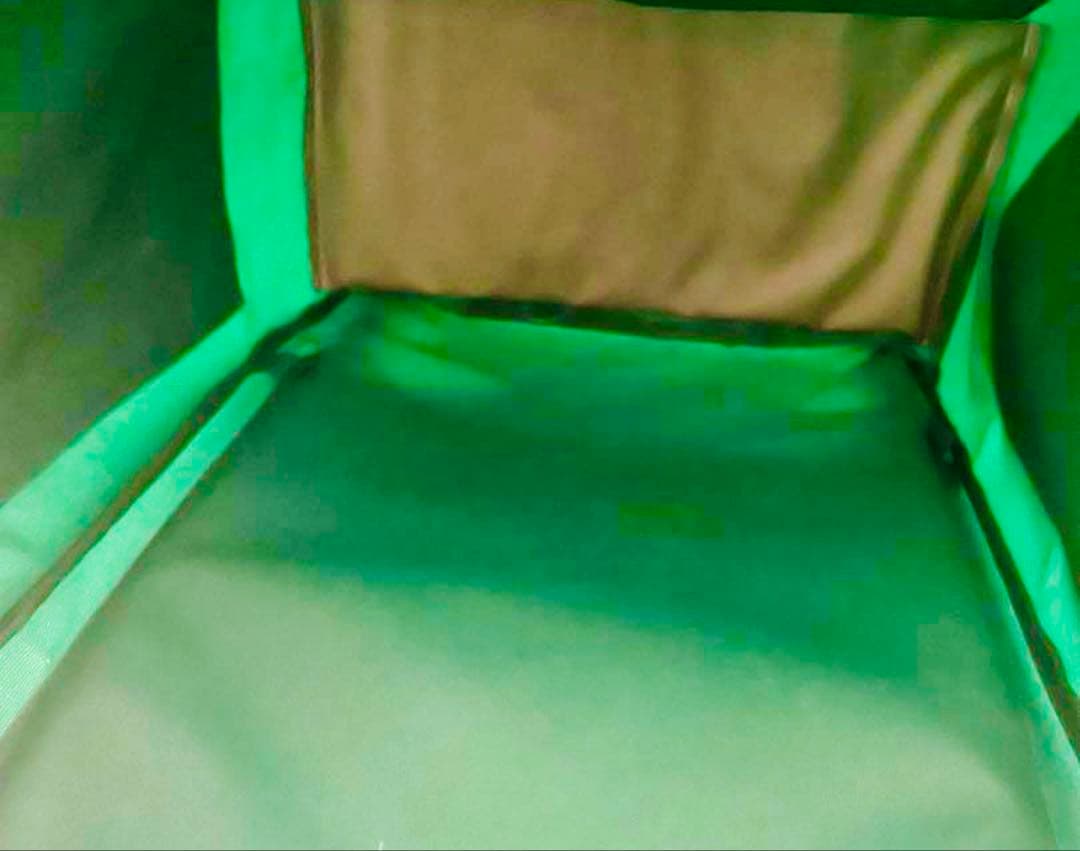 Whole Foods Market キャリーカート トロリーカート　グリーン