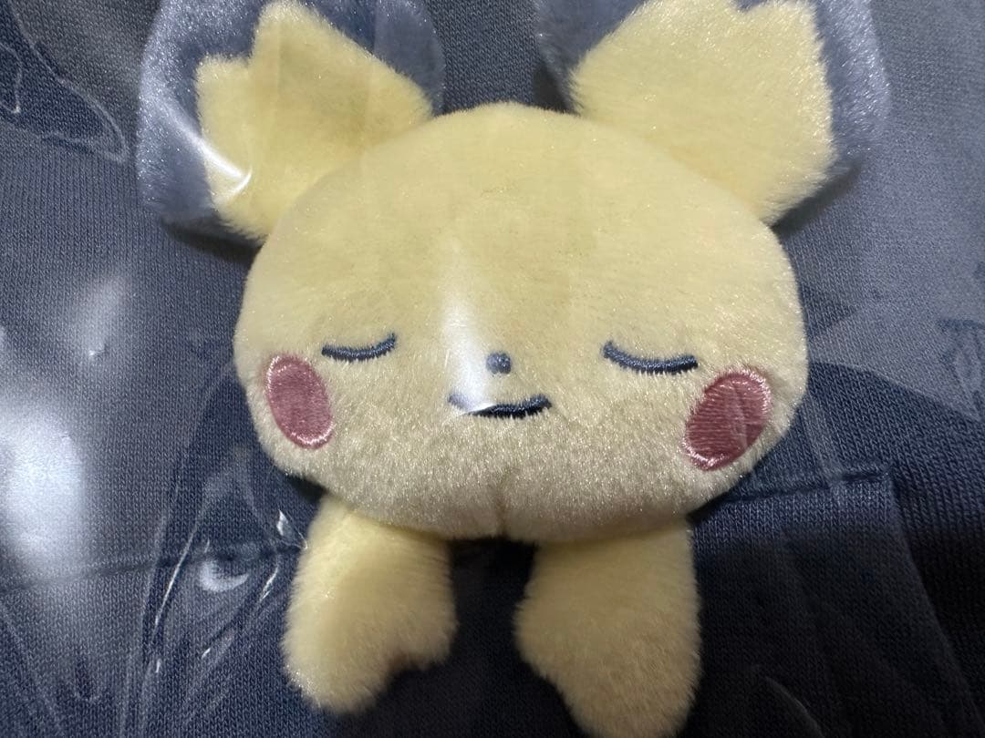 ポケモン　Little Daydream パーカー、バケットハット、ぬいぐるみ