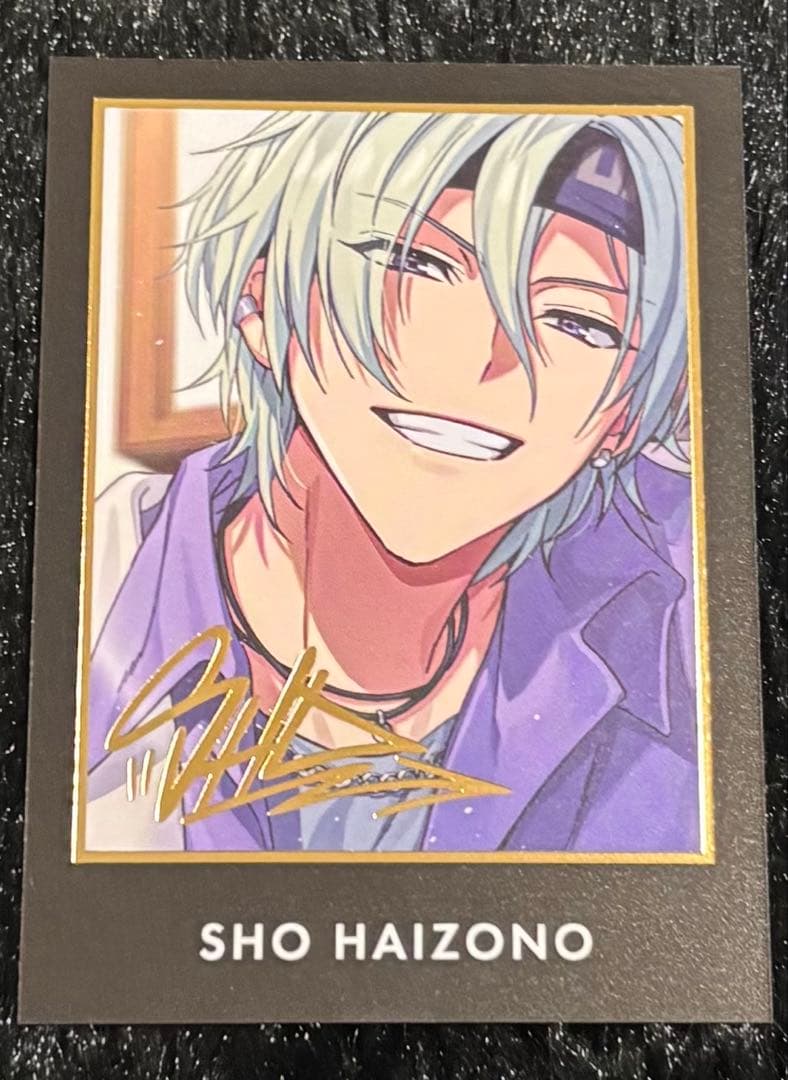 東京ディバンカー サイン レア 灰園 翔平