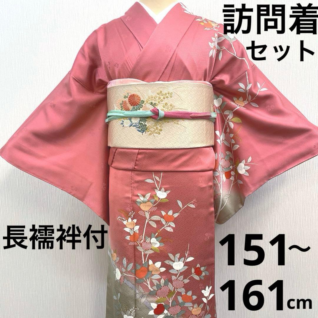 梅乃【148】正絹　訪問着　単品　美品　長襦袢付　入卒式　お宮参り　七五三