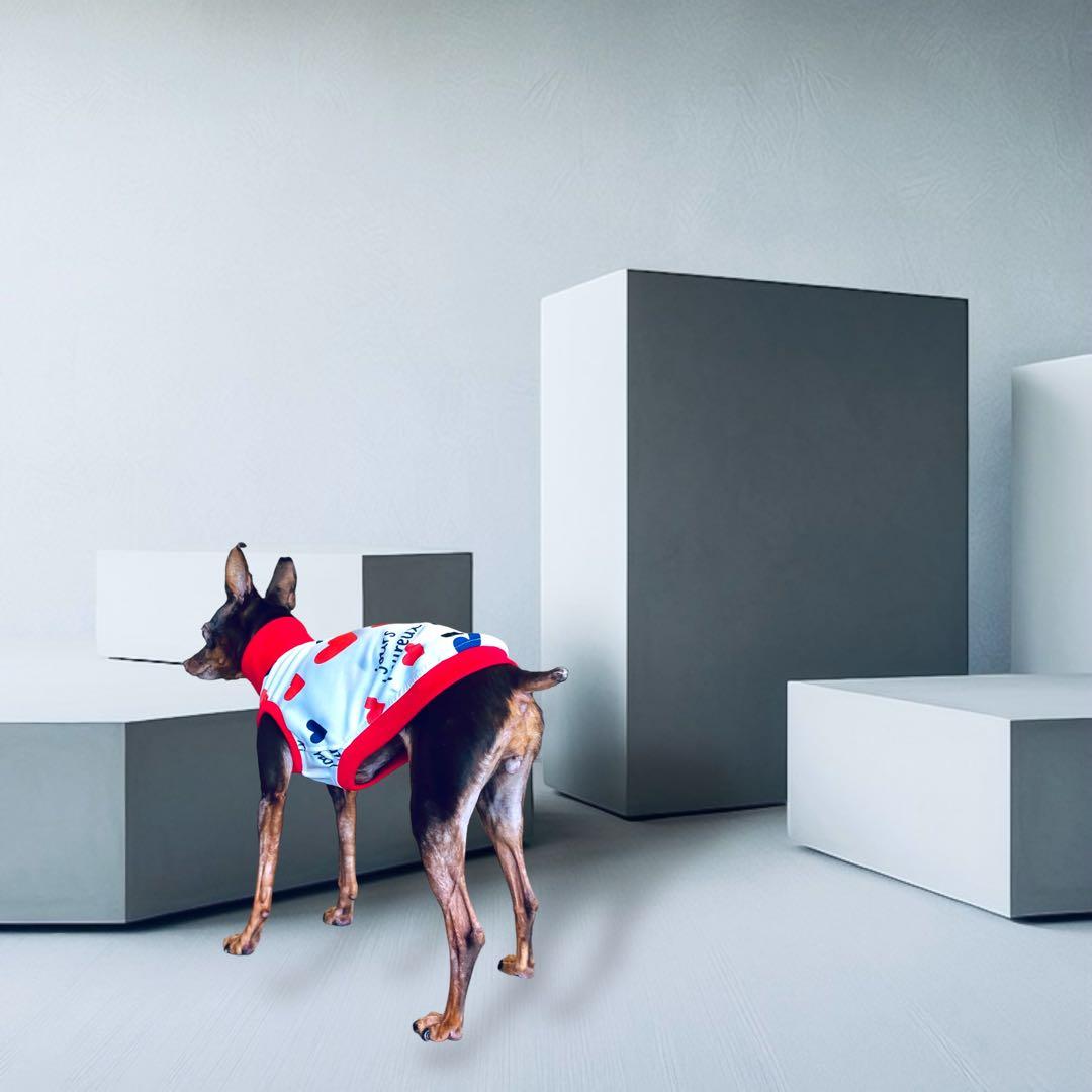 ⑰jours heureux original heart