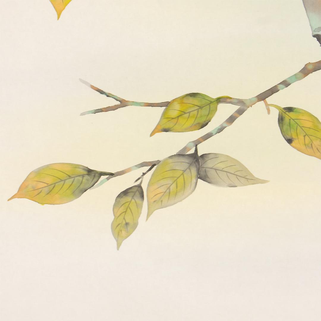 掛軸 日本画 箕輪虹游「柿」共箱 柿に小鳥図 秋掛け