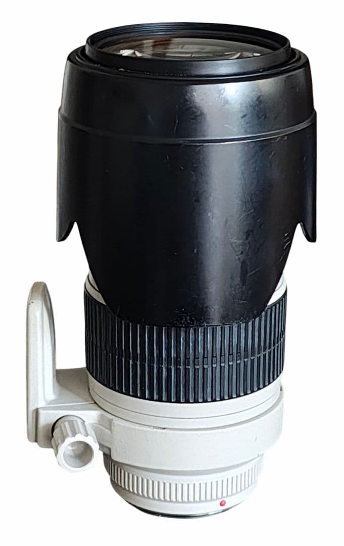 Canon キャノン EF 70-200/2.8 L USM ズームレンズ