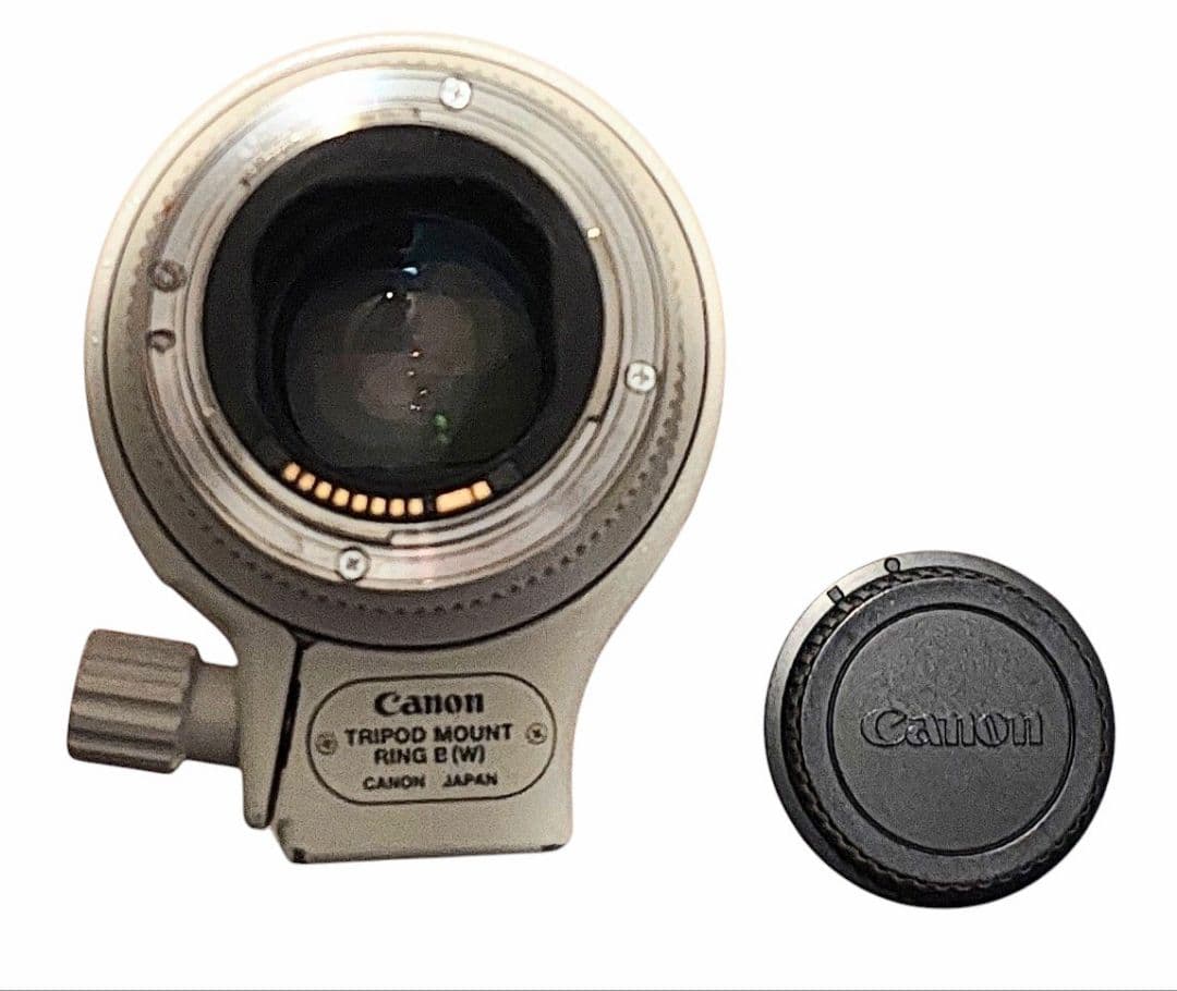 Canon キャノン EF 70-200/2.8 L USM ズームレンズ