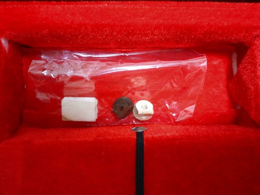 二胡　伝統楽器