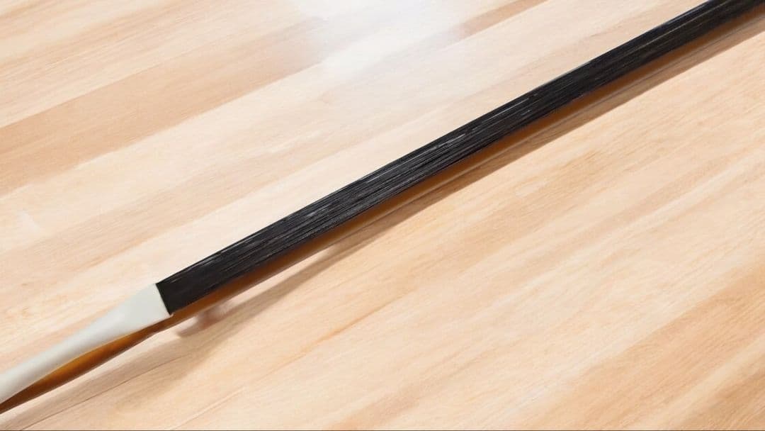 二胡　伝統楽器