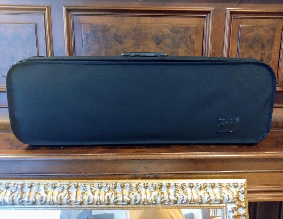 GEWA ゲヴァ　ヴァイオリンケース　美品　VENEZIA　4/4