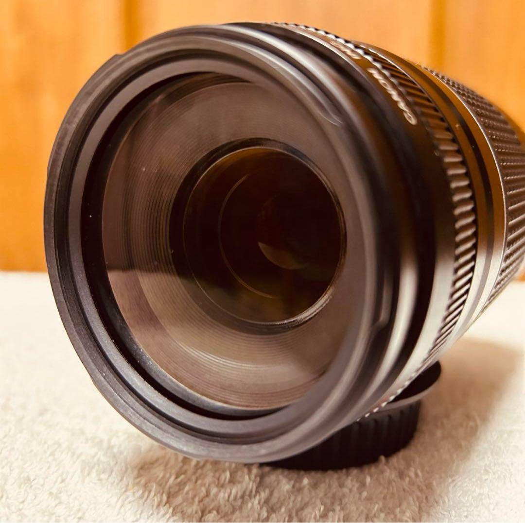 望遠レンズ Canon EF 75-300mm F 4-5.6 Ⅲ USM