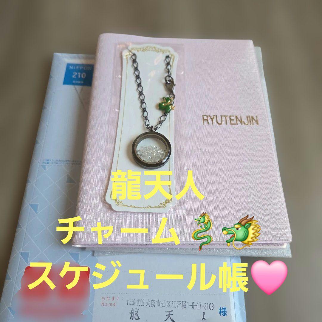 龍天人　立岩さんチャームとルミナスピンクスケジュール帳