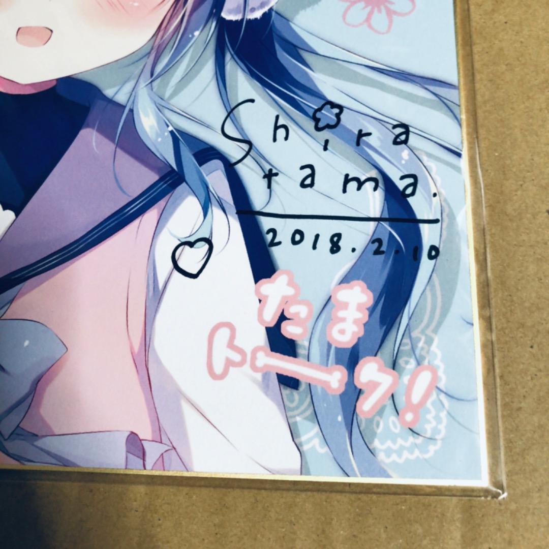 サイン入り 複製色紙 しらたま たまトーク2018 しらたまこ ふわりちゃん