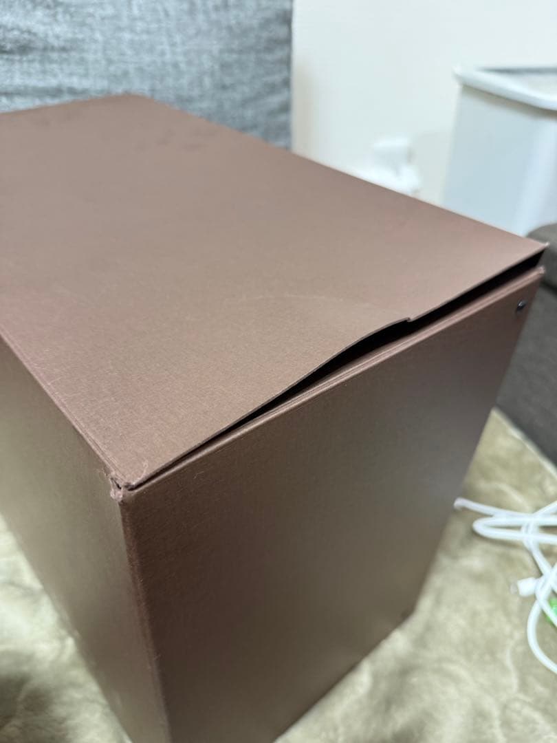 ルイヴィトン　LOUIS VUITTON パピヨン　ポーチ　　箱　ミニバッグ付き