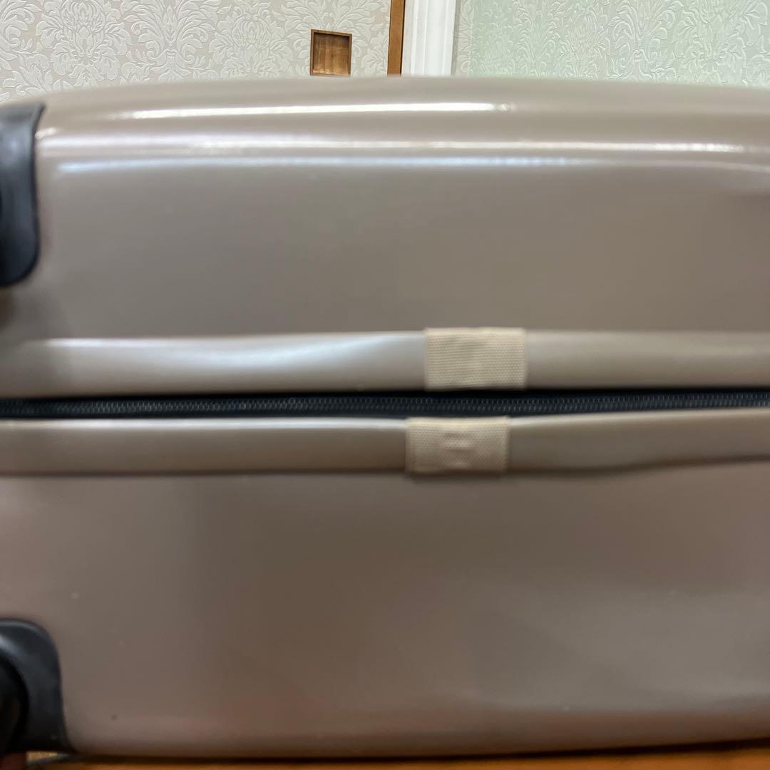 FPMスーツケースGray Spinner 67 Trolley Bag