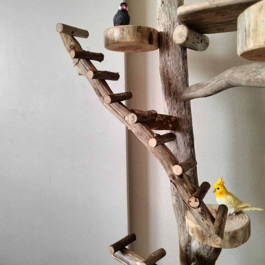 ことり バードアスレチックジム大型 天然木 自然木 流木 止まり木 インコ