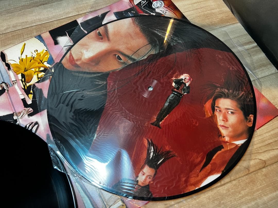 LP/レコード BUCK-TICK / TABOO （レコードピクチャー盤）