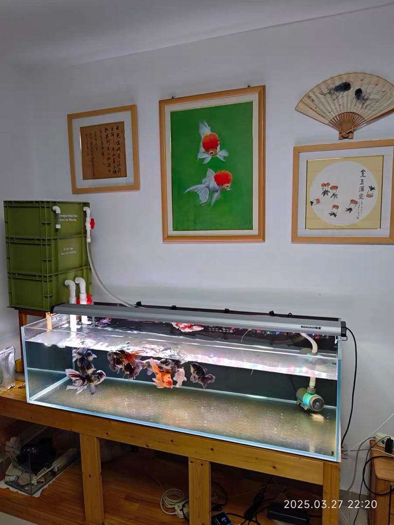 水中ポンプ付き　2種以上ろ材2段付き　水槽池ろ過フィルター　外部上部濾過器装置