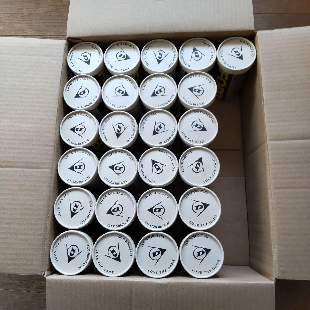 ダンロップ フォート テニスボール 25缶