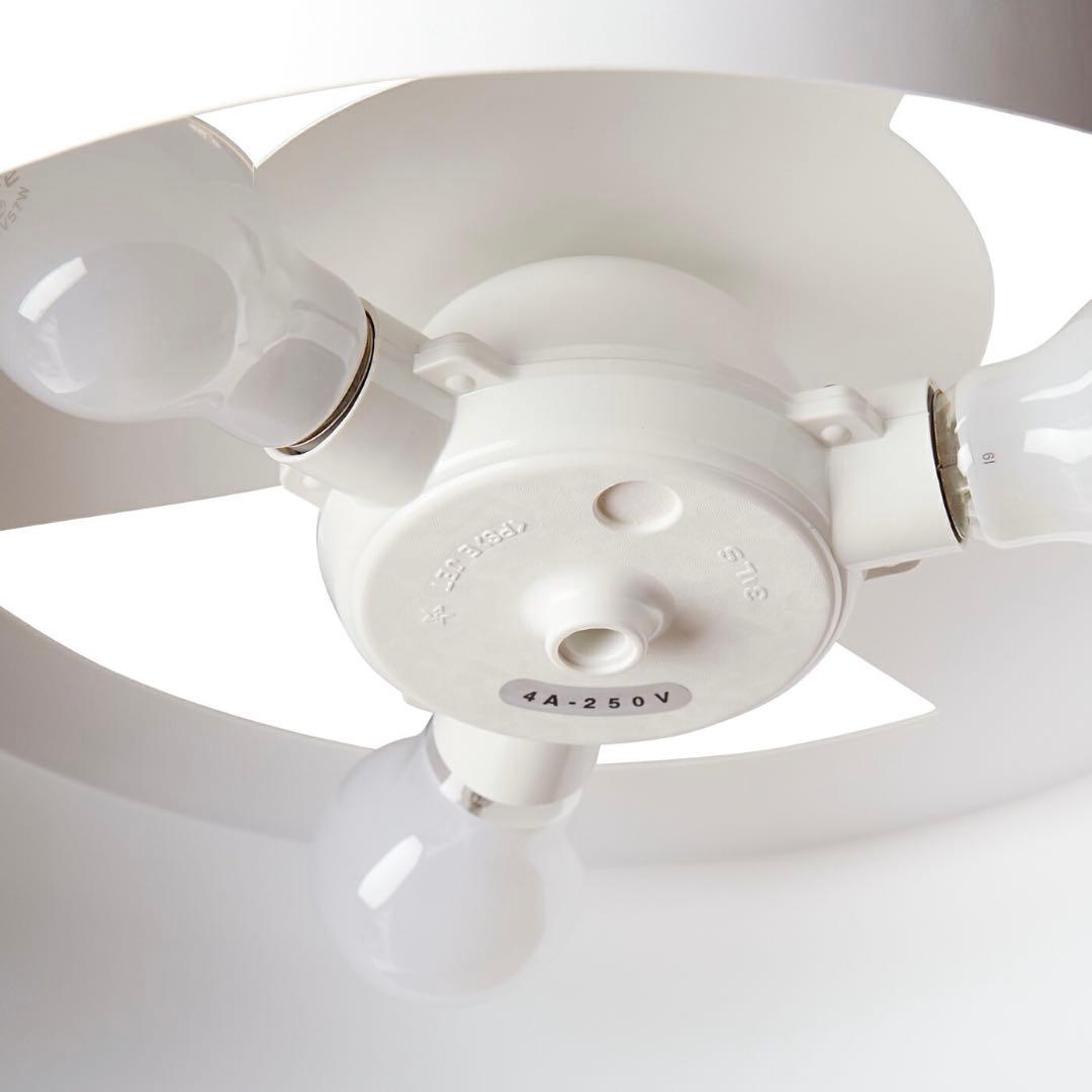 BRID OLIKA LAMP 3BULB オリカ ランプ 3バルブ ペンダント