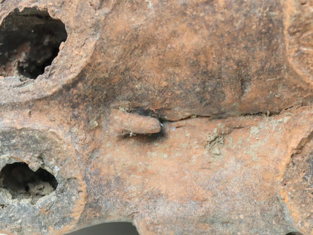 埴輪馬 発掘 土器 古墳 動物埴輪 ハニワ